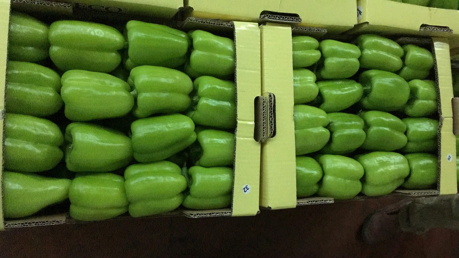 Dolma Biber